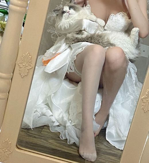 黑三角电视剧