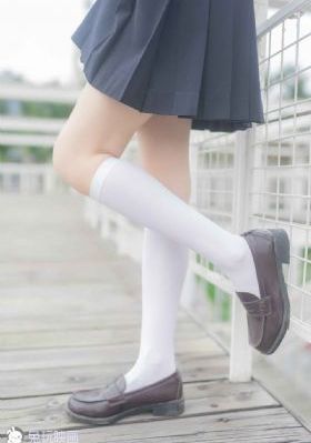半月传奇电视剧全集免费观看