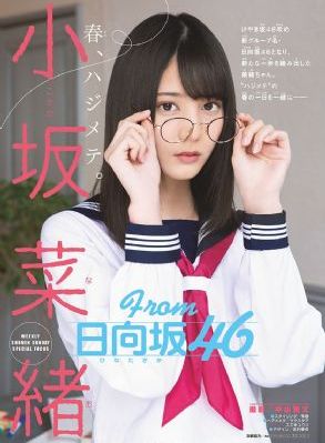 海贼王樱花动漫